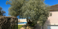 maison à ST PARDOUX ISAAC (47800)